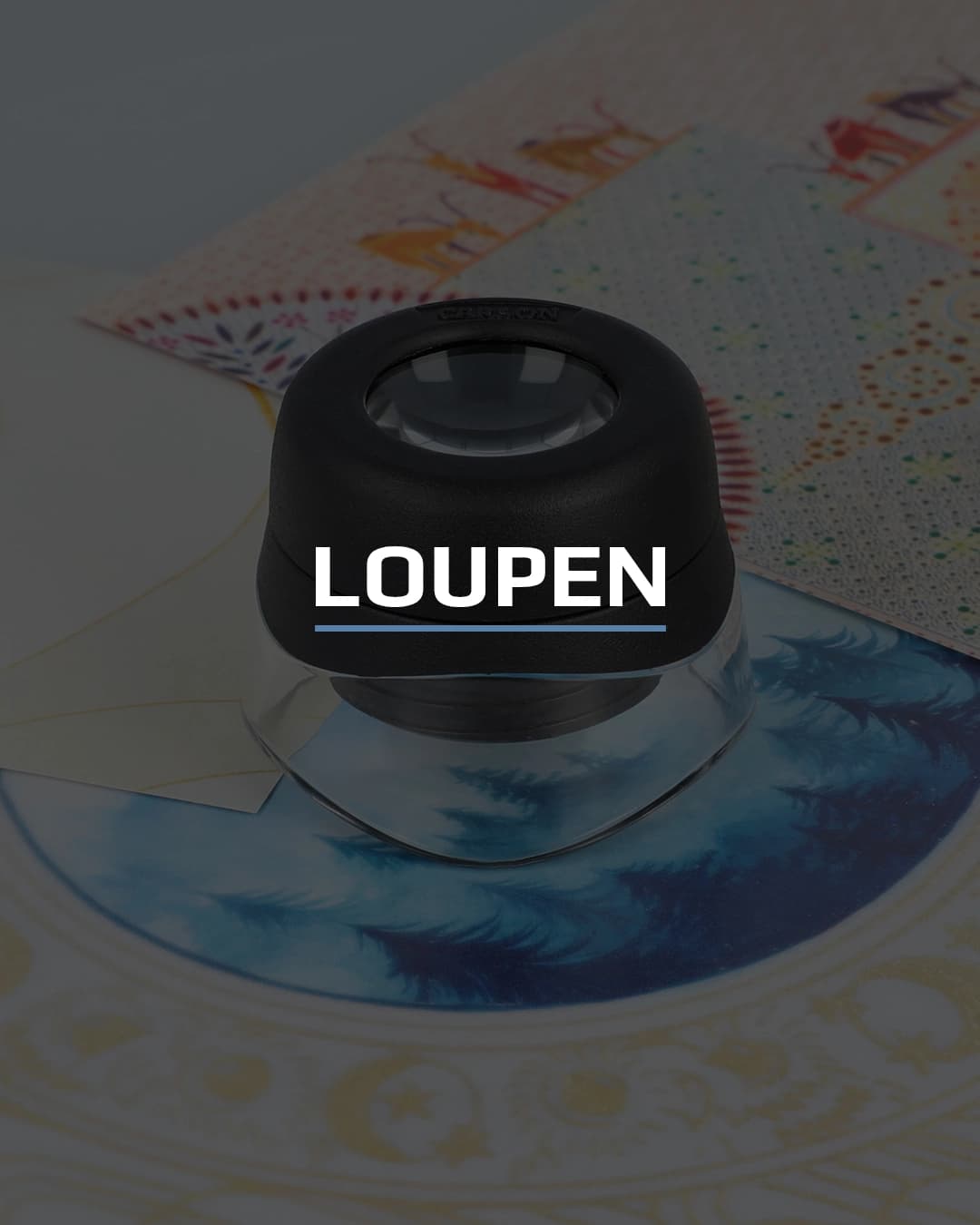 ERKUNDEN & BEOBACHTEN